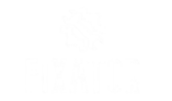 Fixator